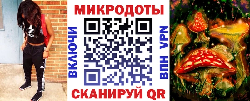 Галлюциногенные грибы Magic Shrooms  гидра сайт  Нерчинск 
